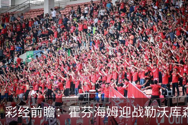 彩经前瞻：霍芬海姆迎战勒沃库森，客队攻势占优，看好药厂胜